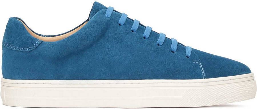 Kazar Blue suede sneakers