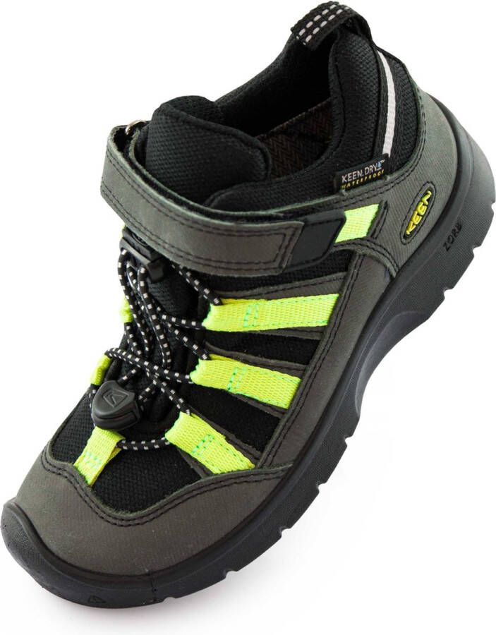 Keen Jr Hikeport 2 Low Wp Black Evening Primrose Blue