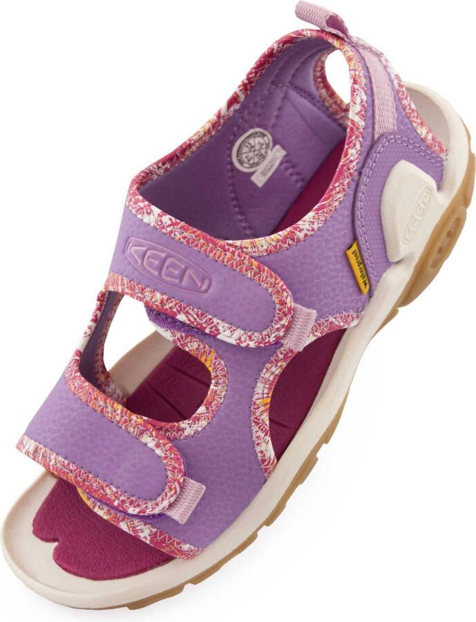 Keen Jr Knotch Creek Ot English Lavendel Festival Fuchsia