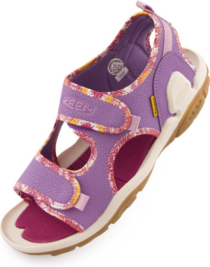 Keen Jr Knotch Creek Ot English Lavendel Festival Fuchsia