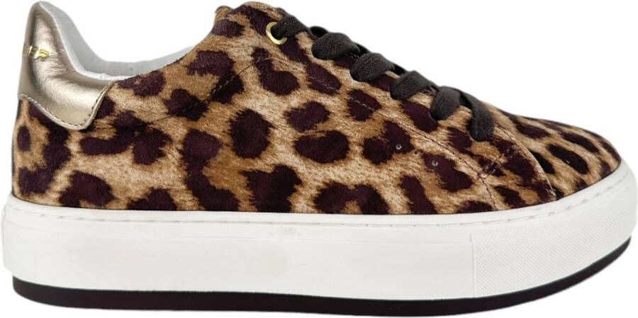 Kurt Geiger Sneaker Leopard Print