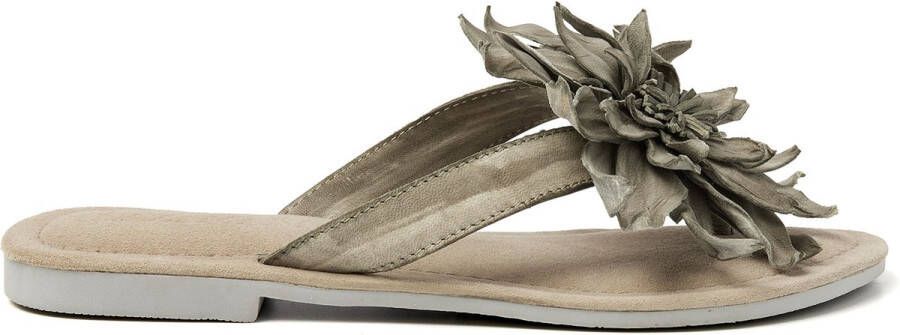 Lazamani Daisy Leren Dames Slippers Sage