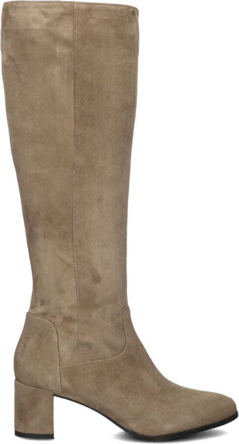 Lina Locchi Suède Hoge Laarzen Taupe 8591 Beige Dames