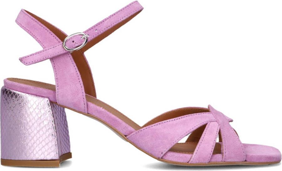 Lina Locchi Paarse Suède Kruisband Sandalen Purple Dames