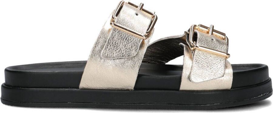 LINA LOCCHI Slippers Dames Led 2 Band Slipper Dz Maat: 38 Materiaal: Leer Kleur: Goud