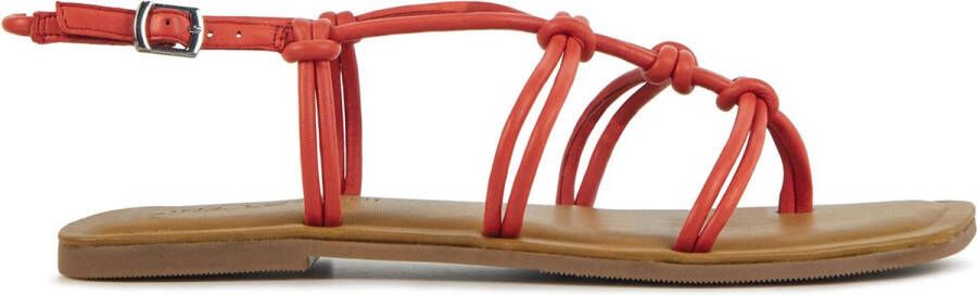 Lina Locchi Sandalen Dames Damesschoenen Leer Blokhak hoogte L1285 Oranje