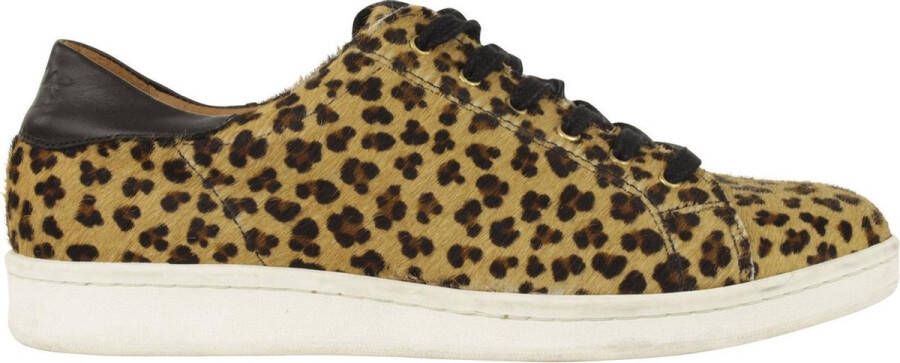 Linkkens LEOPARD LAGE DAMES SNEAKER