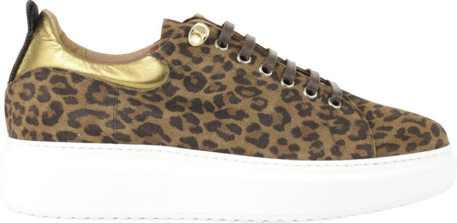 Linkkens Sinisa leopard sneaker