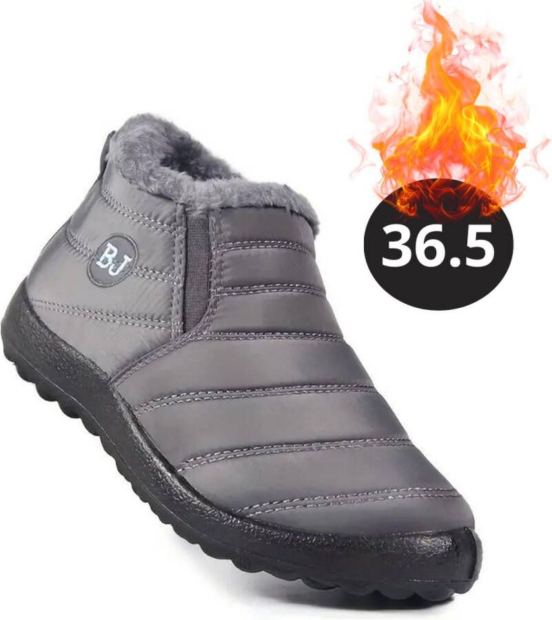 Livano Snowboots Sneeuwschoenen Sneeuwboots Dames Wintersport Ski Skischoenen Grijs 36.5 Warm