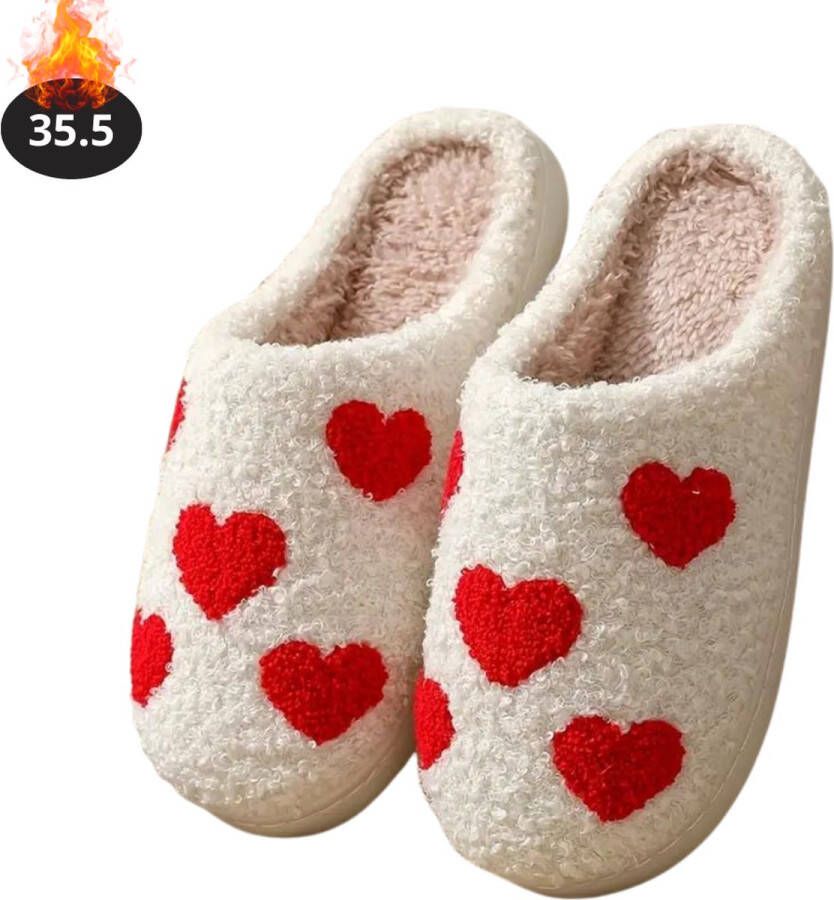 Livano Warme Pantoffels Sloffen Slippers Pluche Hart