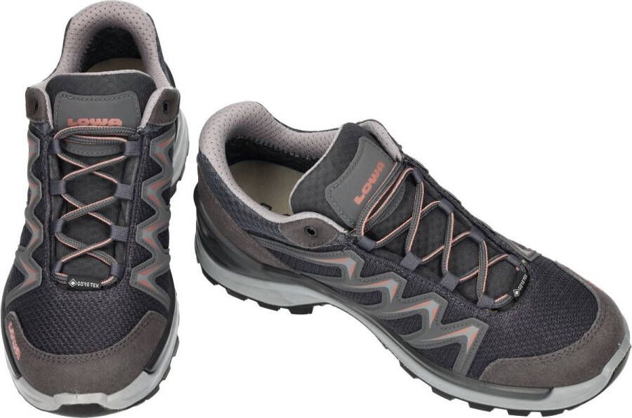 Lowa Women's Innox Pro GTX Lo Multisportschoenen grijs