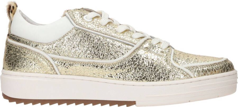 Maruti Anna Sneakers Goud Metallic Gold Leopard