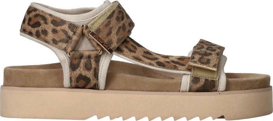 Maruti Beau Sandalen Bruin Leopard Brown