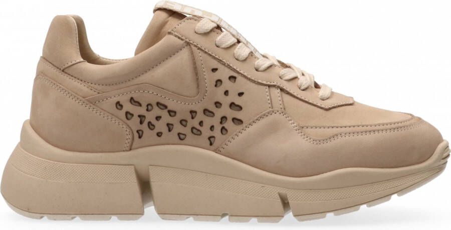 Maruti Collin Sneakers Beige Beige