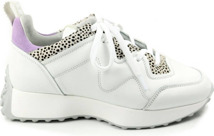 Maruti Kian Sneakers Wit White Lila Pixel Offwhite