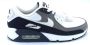 Nike Sneakers Air Max 90 Flat Pewter - Thumbnail 1