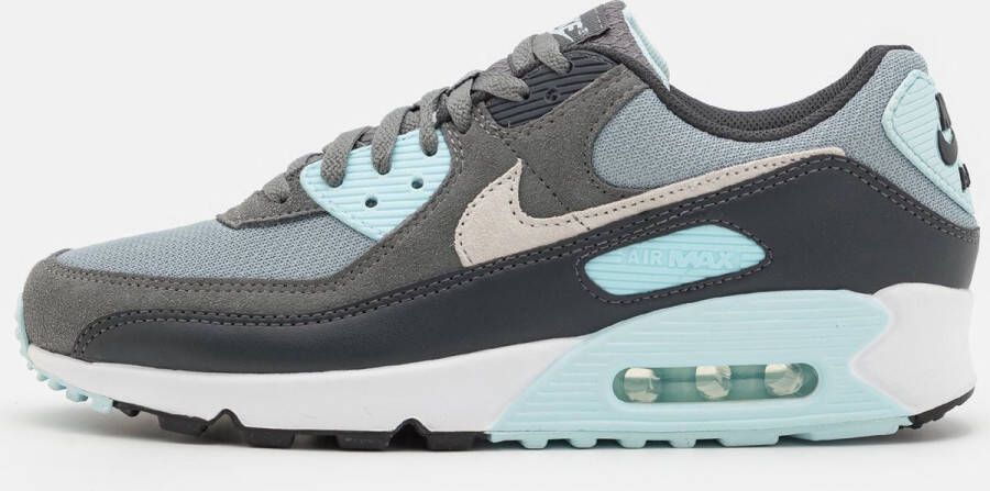 Nike Sneakers Air Max 90 Light Pumice Smoke Grey