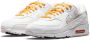 Nike Air Max 90 Essential Dames Schoenen White Leer - Thumbnail 1