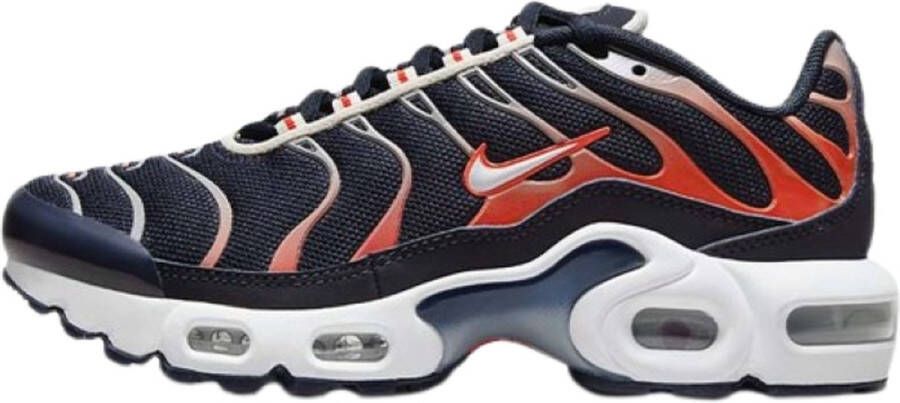 Nike Lage Sneakers Air Max Plus TN Dark Obsidian Phantom