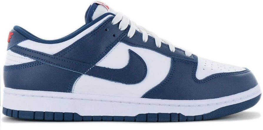 Nike Dunk Low Retro Heren Sneakers Schoenen Leer Blauw-Wit DD1391