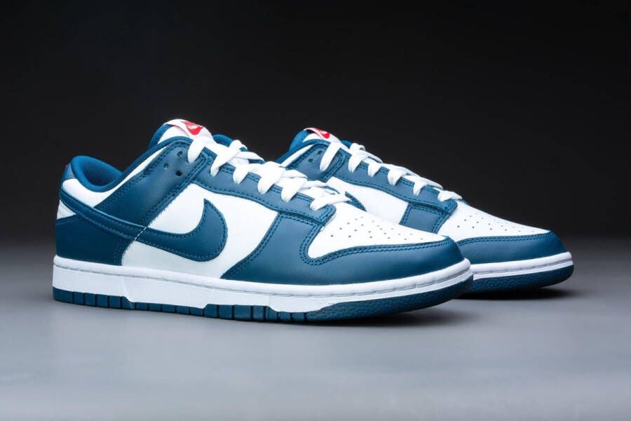 Nike Dunk Low Valerian Blue DD1391-400 BLAUW Schoenen - Schoenen.nl