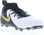 Nike Phantom Luna 2 Academy FG Kids White Metallic Gold Coin Black - Thumbnail 2