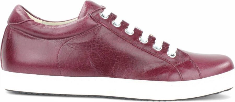 Noë Shoes Naby Sneaker Ruby