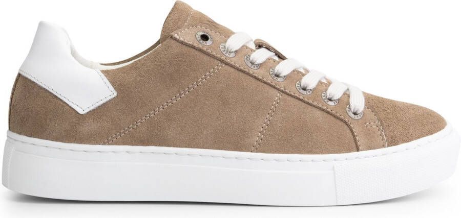 NoGRZ P.Paget Suede leren damessneaker Taupe leer