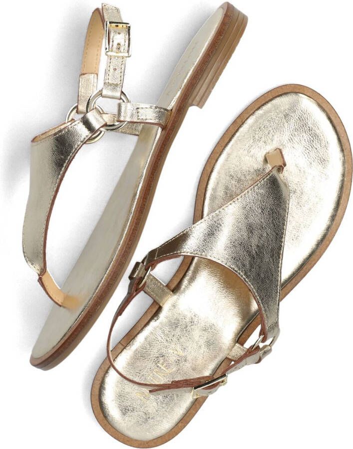 Notre-V 23270 Sandalen Dames Goud