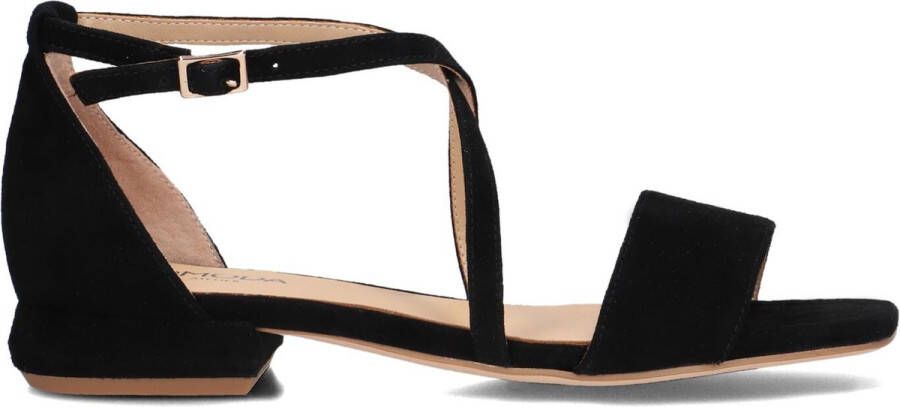 Omoda Karly06 Sandalen Dames Zwart