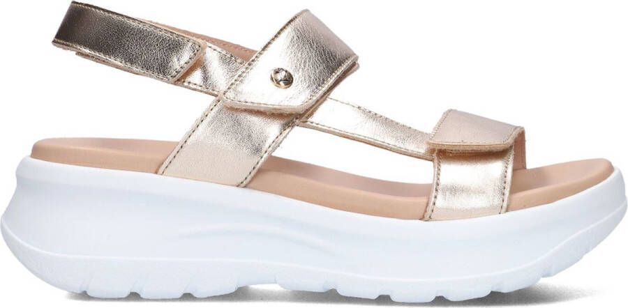 Panama Jack Noor Shine B1 Sandalen goud Dames