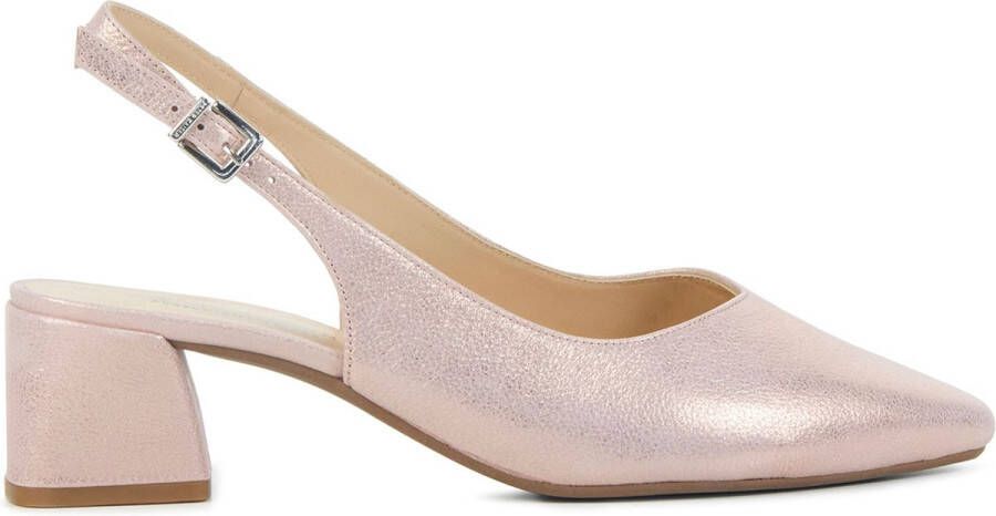 PETER KAISER Pumps Dames Pammi Maat: 38 Materiaal: Leer Kleur: Roze