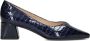 Peter Kaiser Dames Pumps Damesschoenen Leer Crocoprint Geen hoogte cm Lona Blauw - Thumbnail 2