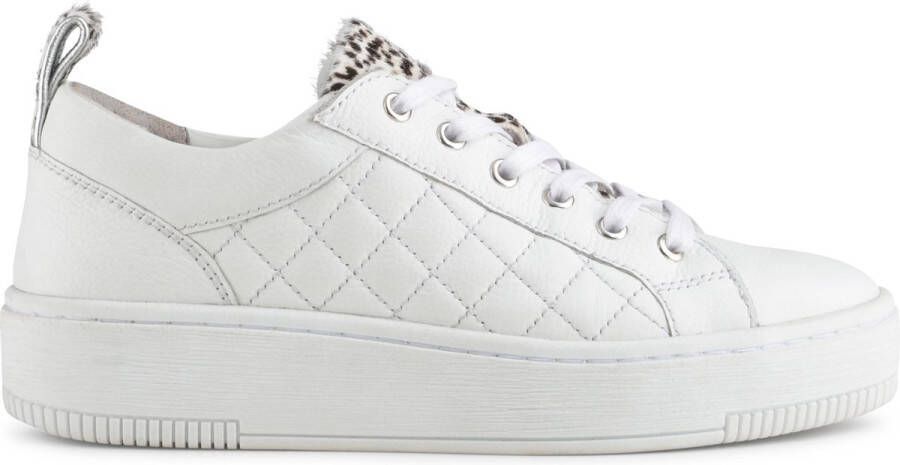 PS Poelman Esquimo Dames Quilted Leren Tennis Sneakers met Leopard Print 39 Wit