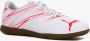 PUMA Attacanto It IC zaalschoenen wit rood - Thumbnail 1