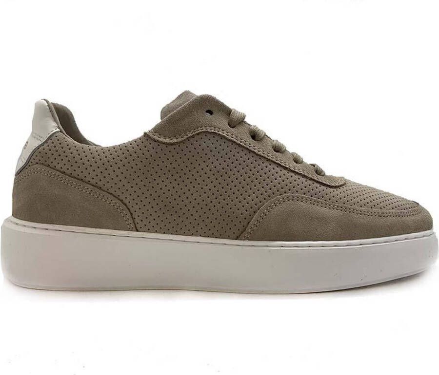 Rehab Footwear Taylor Sue Prf | Khaki sneaker