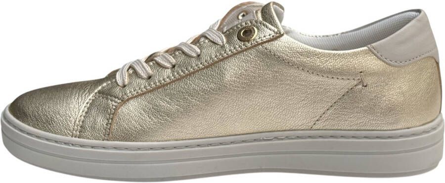 River Woods ARLETTE 813 Sneaker goud