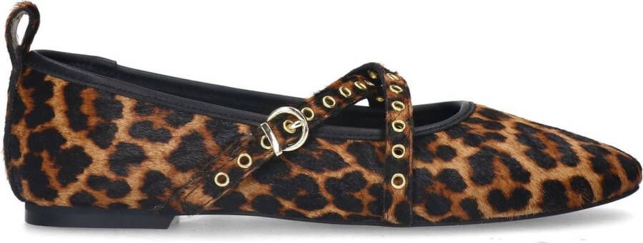 Sacha Dames Leopard ballerina's met studs