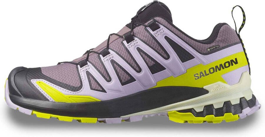 Salomon Women's XA Pro 3D V9 GTX Multisportschoenen meerkleurig