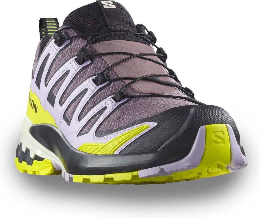 Salomon Women's XA Pro 3D V9 GTX Multisportschoenen meerkleurig