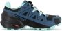 Salomon Speedcross 5 GTX W GORE-TEX Dames Wandelschoenen Outdoor Trekking Trail-Running Schoenen Zwart-Blauw - Thumbnail 1