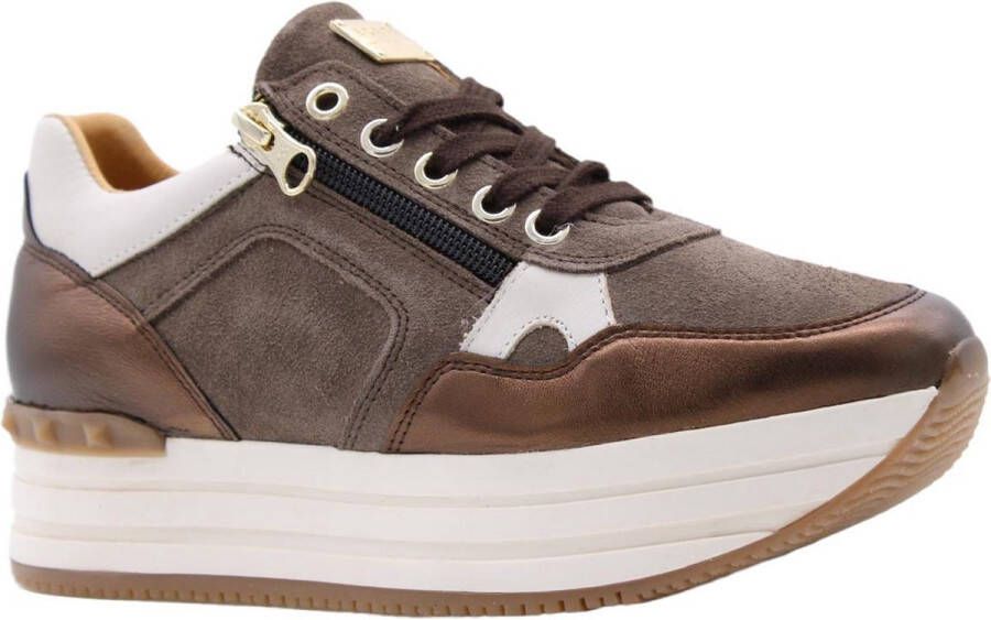 Scapa Sneaker Brown