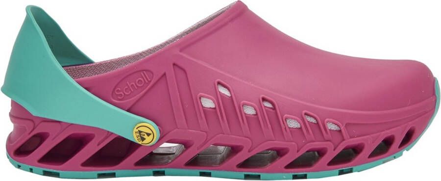 Scholl EVOFLEX Tpr -U Fuchsia Emerald Unisex Clogs Fuchsia Emerald