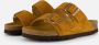 Scholl Josephine sandalen cognac Suede Dames - Thumbnail 1