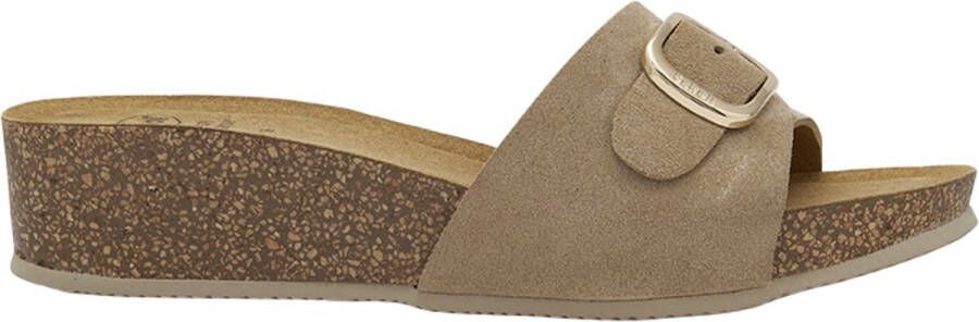 Scholl RAPALLO BUCKLE Sue-W Dames Muiltjes Beige