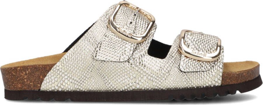 SCHOLL Slippers Dames Noelle Synthetic Maat: 40 Materiaal: Leatherlook Kleur: Goud