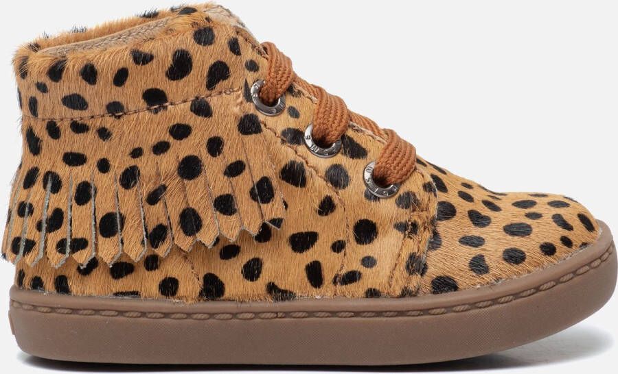 Shoesme Veterschoenen | Meisjes | Brown Dots | Leer