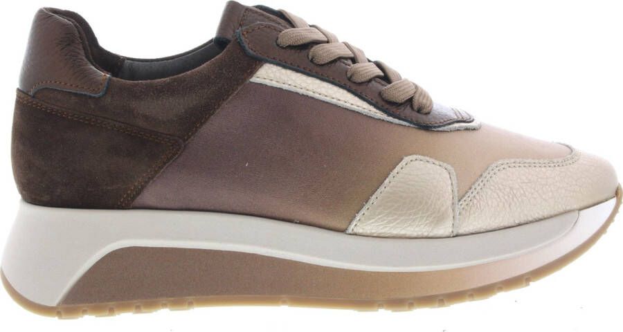 SOFTWAVES Lage Sneakers Dames 8.94.01 Maat: 39 5 Materiaal: Suède Kleur: Bruin