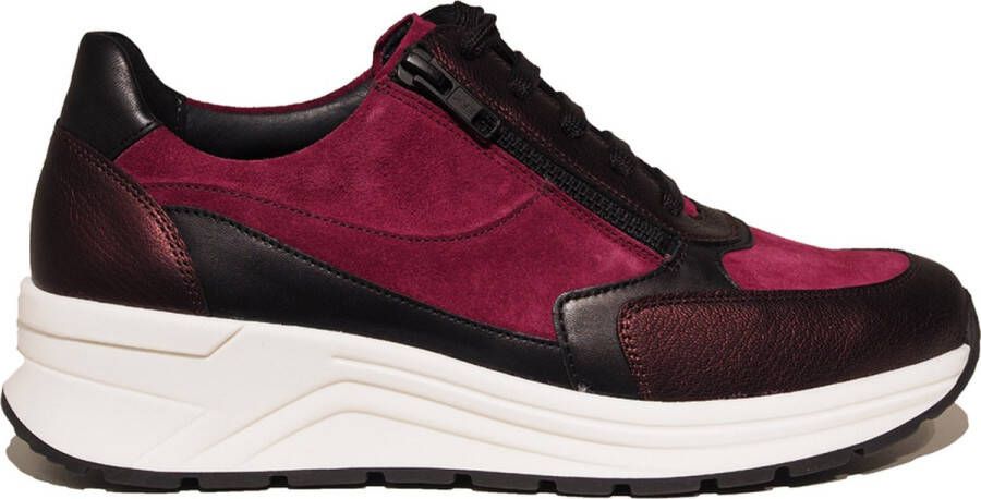 Solidus 46023 Holly 023 Sneakers