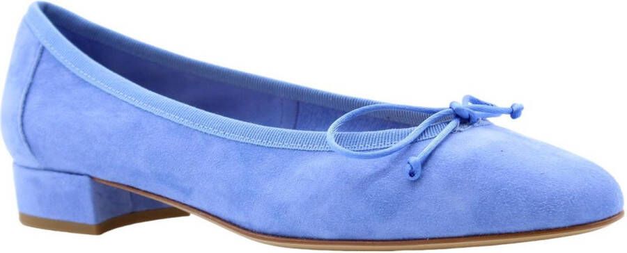 Status Stijlvolle Ballerina Flats Blue Dames